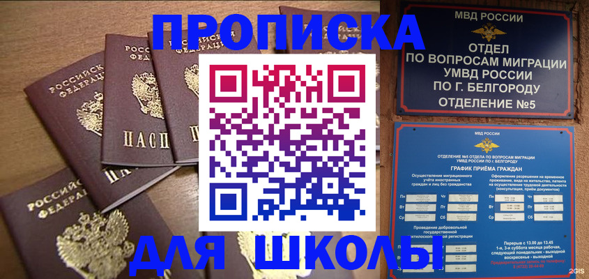 прописка гарантия в Нелидово